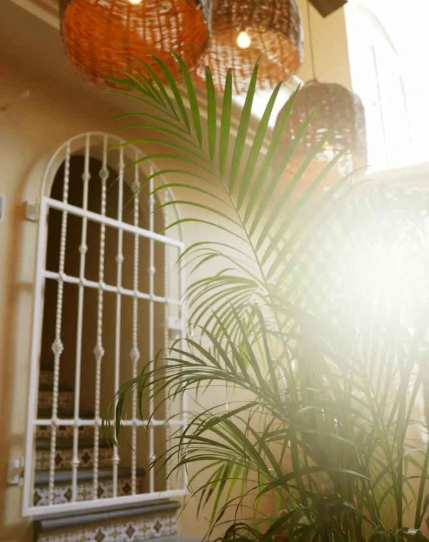 פלאייה דל כרמן Tequilita Hostel & Suites