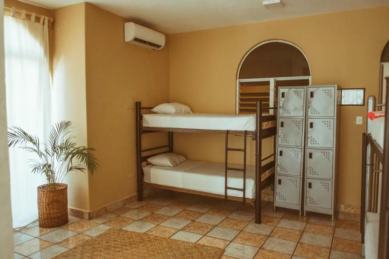 פלאייה דל כרמן Tequilita Hostel & Suites מקסיקו