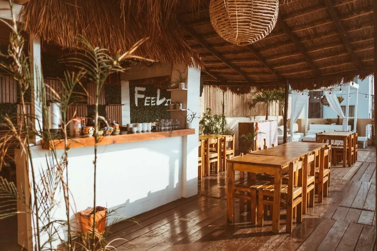 Tequilita Hostel & Suites Playa del Carmen